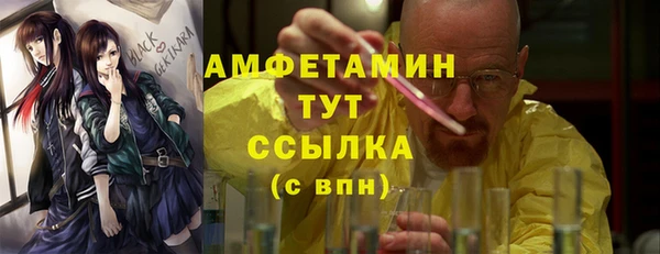 гашик Верея