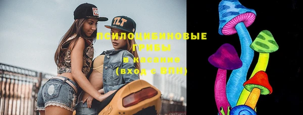 спиды Бронницы