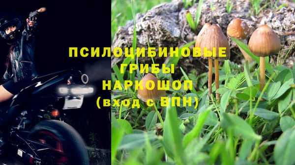 гашик Верея