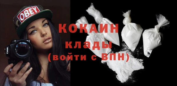 PSILOCYBIN Верхний Тагил