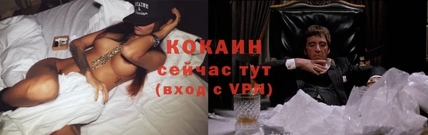 гашик Верея