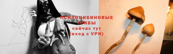 герыч Бородино